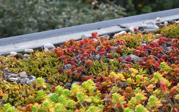 the cost of Collycroft green roof installation